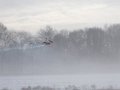 freeze fly 033